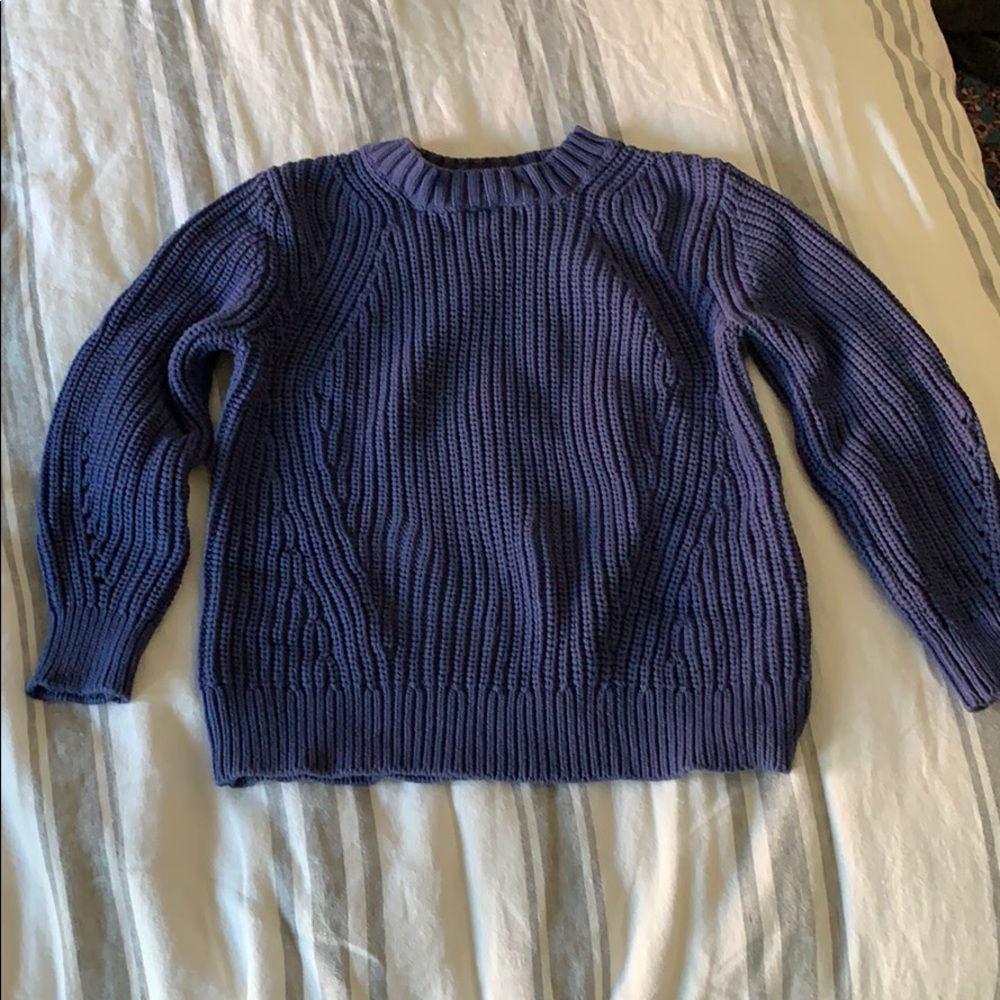 Everlane royal blue cotton sweater